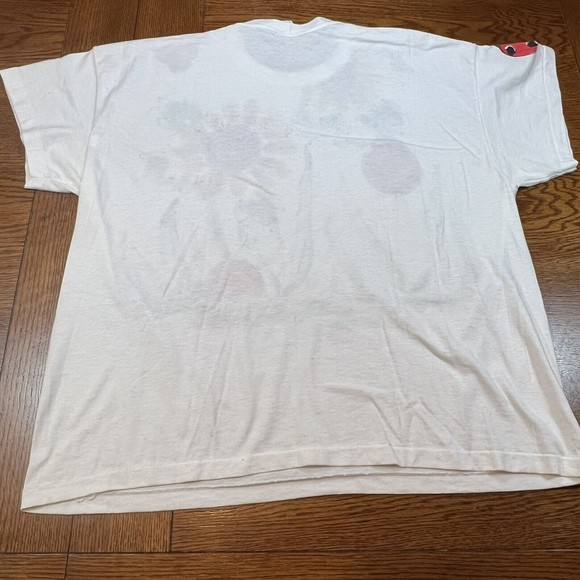 VTG Hand painted Sunflower Lady Bug Single Stitch Shirt and Shorts Set One Size - Picture 6 of 13